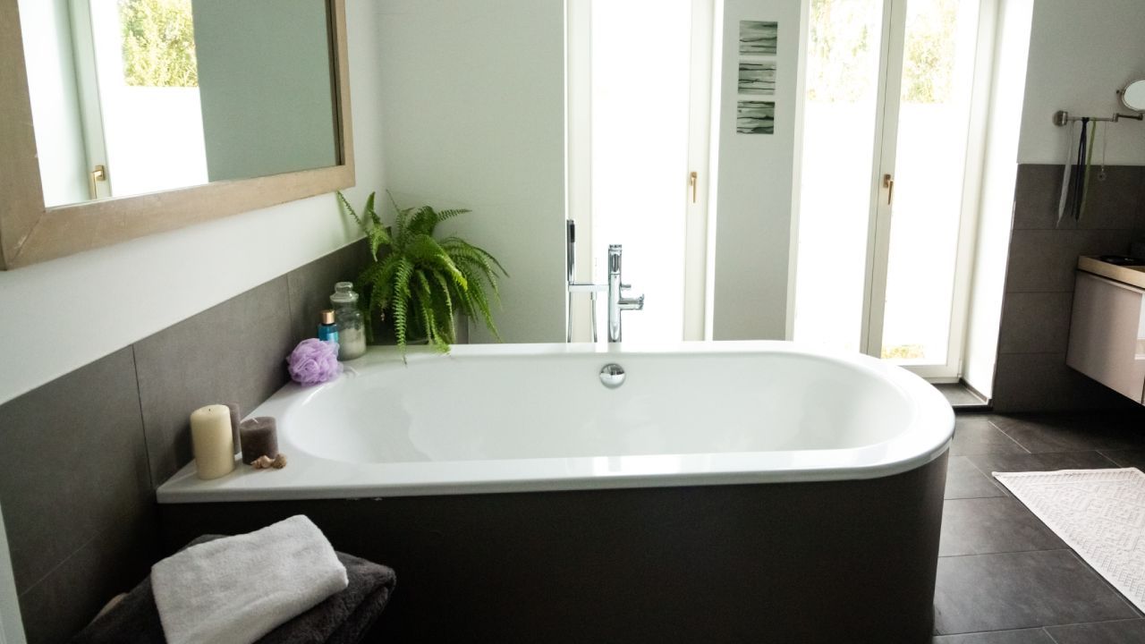 Helechos para eliminar la humedad del baño 