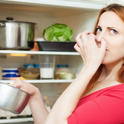 a que huele la choquía