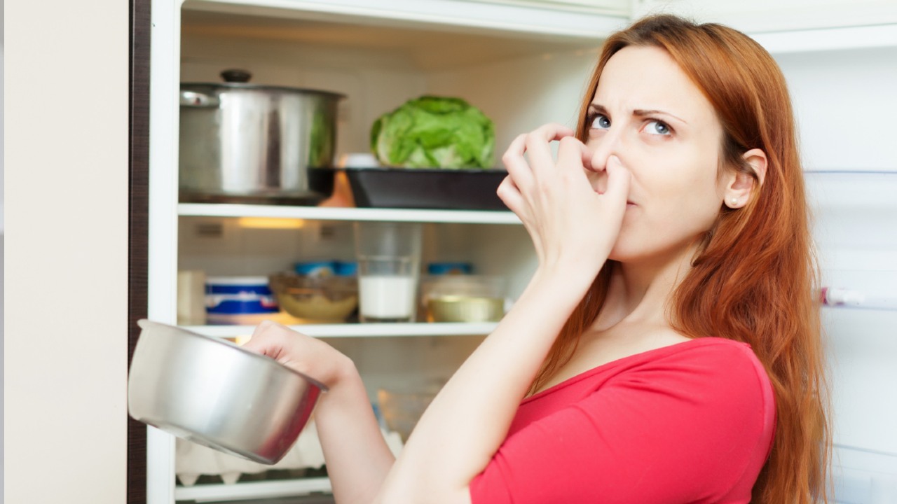 a que huele la choquía