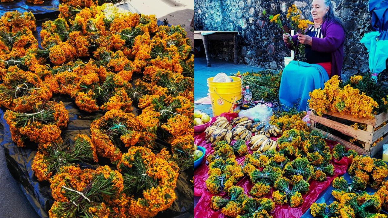 Significado de la cruz de pericón