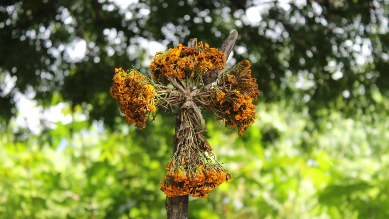 Por qué se pone la cruz de pericón detrás de las puertas