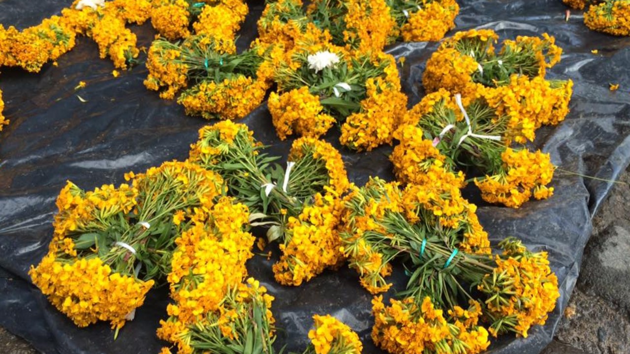 Simbolismo de la cruz de pericón