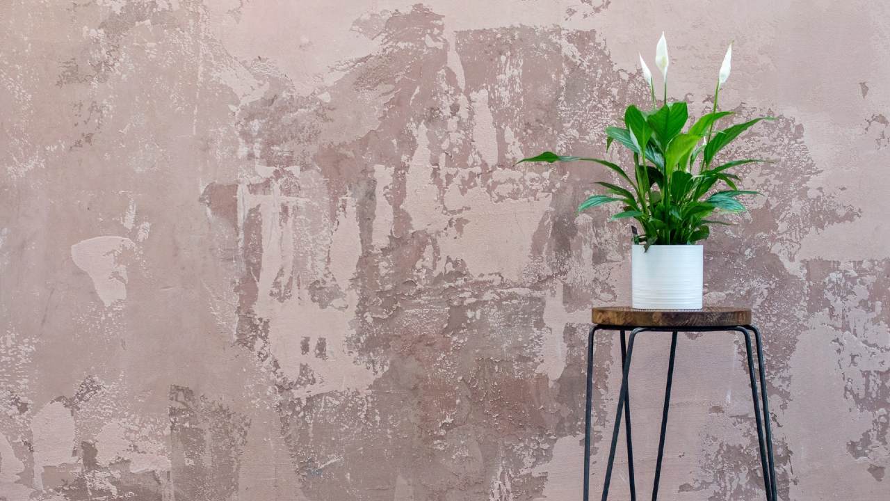 cuna de moisés tips de cuidado