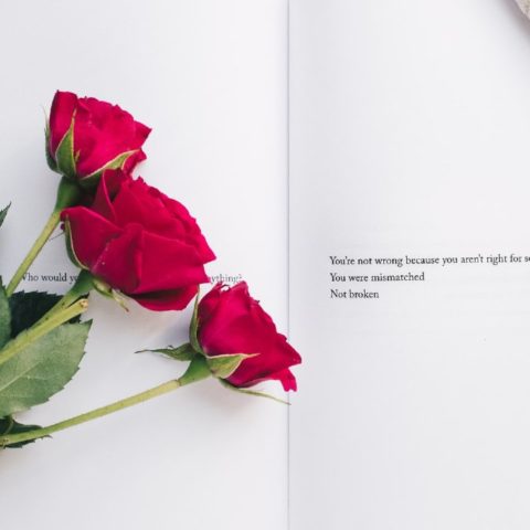 ritual para atraer el amor en temporada de libra