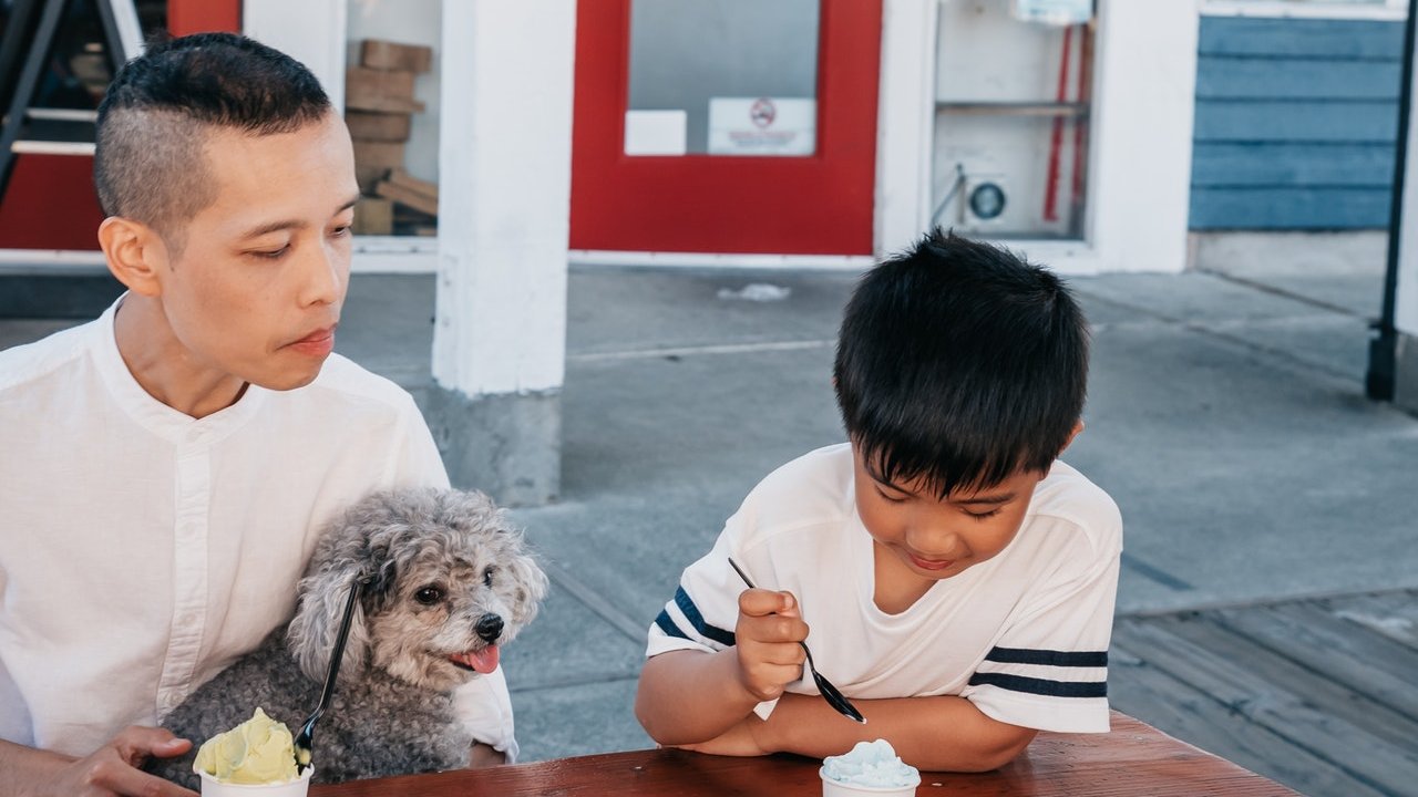 consejos para no acostumbrar a tu perro