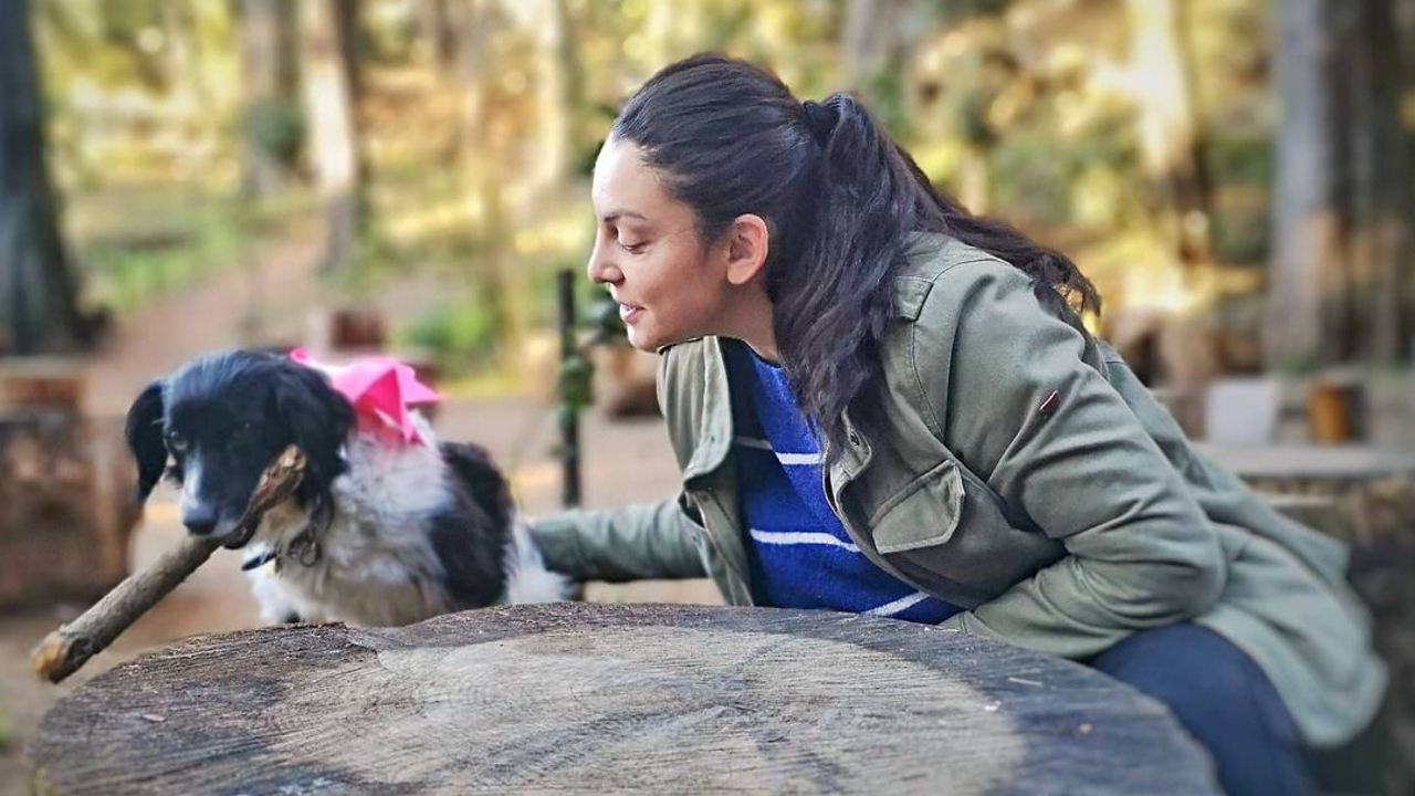 por que es malo tratar a tus perros como perrhijos