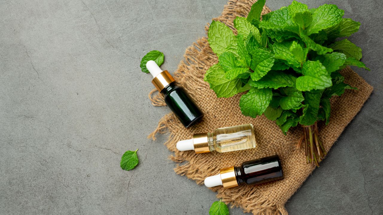 menta para aromatizar tu hogar