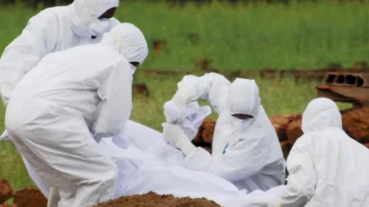 por que es tan peligroso el virus nipah