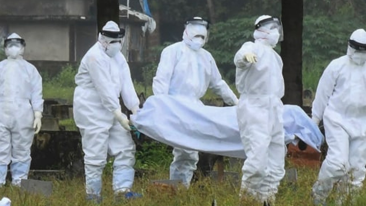 sintomas del virus nipah