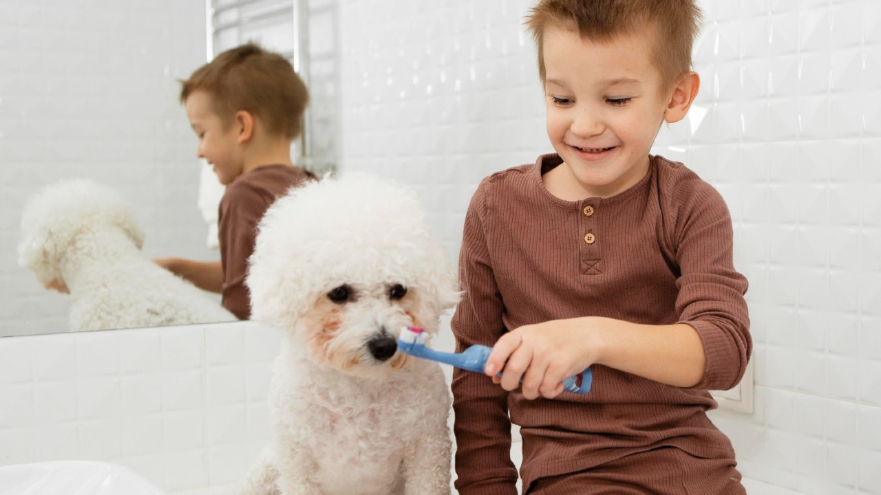 cómo limpiar dientes de tu perro