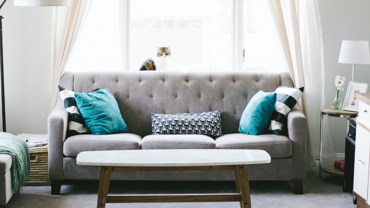 como limpiar tus sillones dependiendo del material