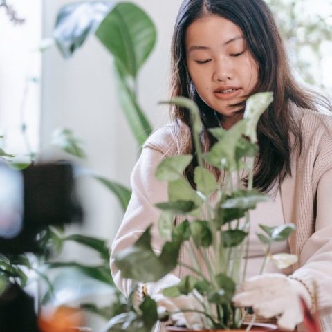 planta con exceso de agua cómo arreglarla