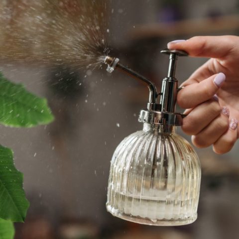 Repelente para plantas alcohol de ajo