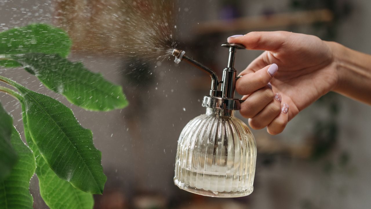 Repelente para plantas alcohol de ajo