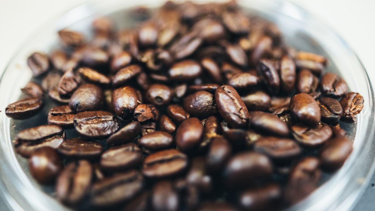 Quemar café para ahuyentar a los insectos