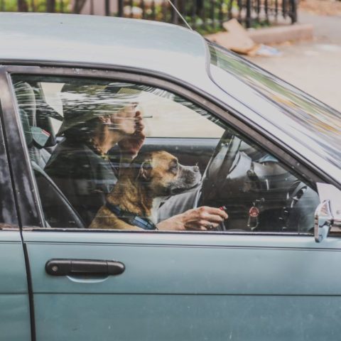 Elimina el olor a cigarro del auto con bicarbonato