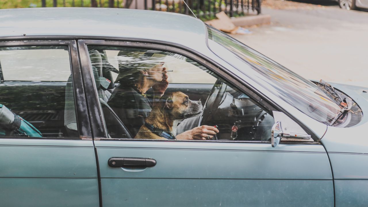 Elimina el olor a cigarro del auto con bicarbonato
