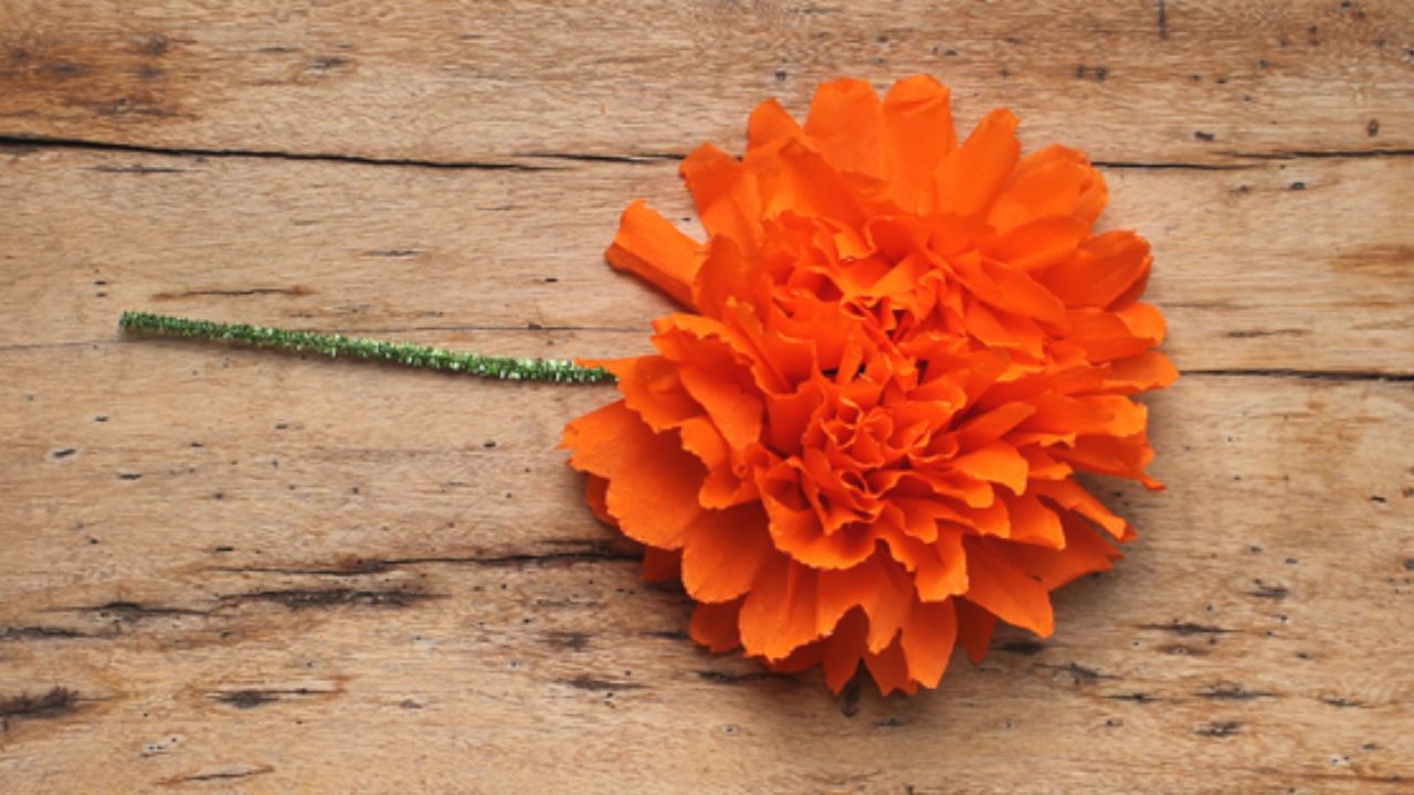 Cómo hacer flores de cempasúchil con papel
