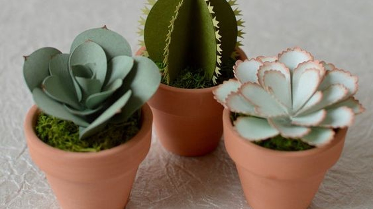 plantas de papel diy