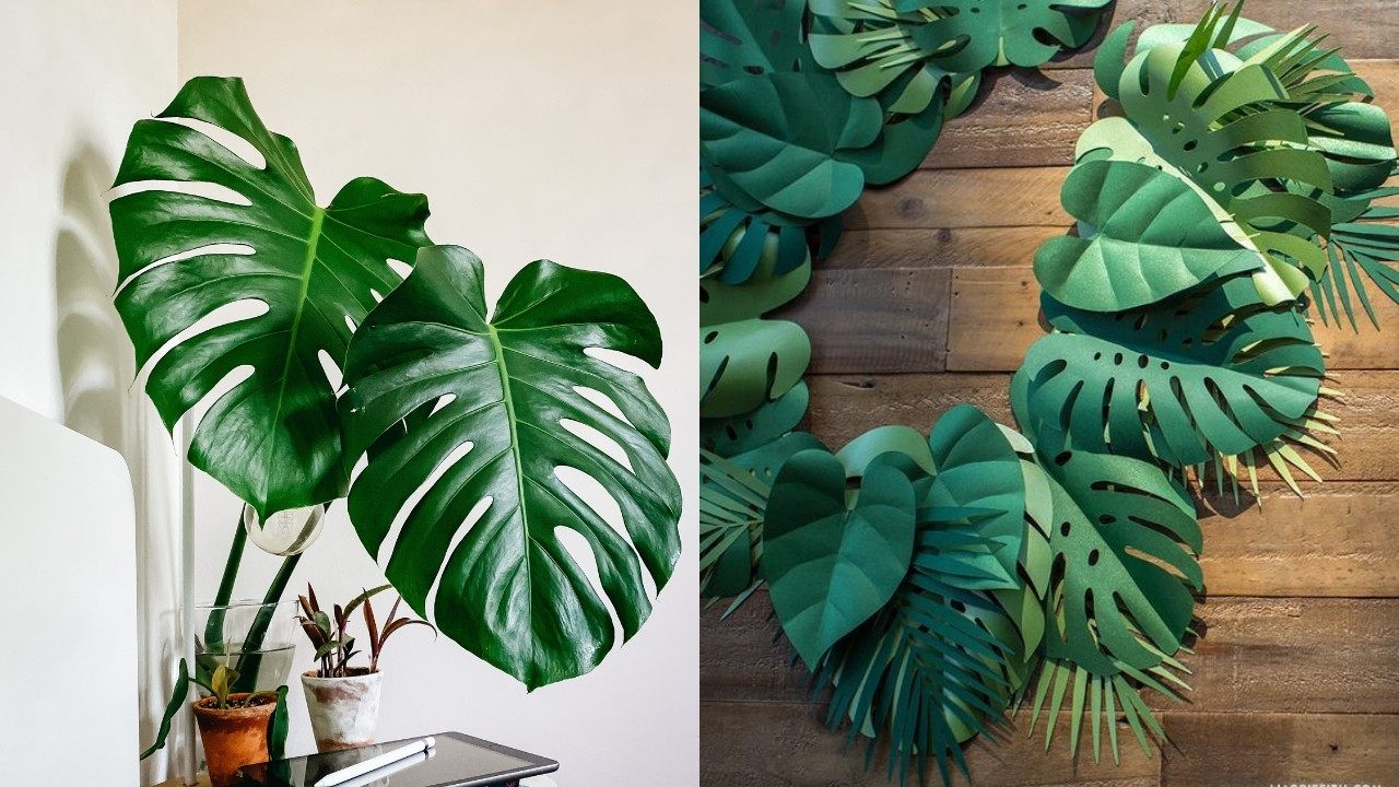 como hacer plantas de papel