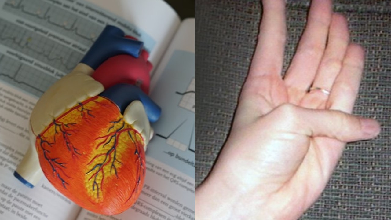 Con solo mover un dedo puedes saber si eres propenso a enfermedades cardiovasculares