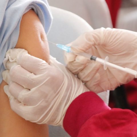 campaña de vacunación contra la influenza cuándo es