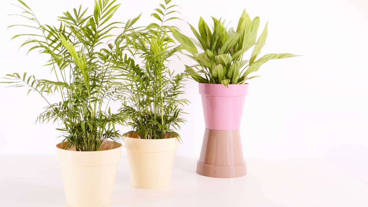 Las ventajas de usar macetas de plástico