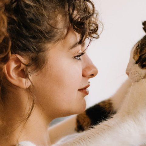 significado de que tu gato parpadee al mirarte