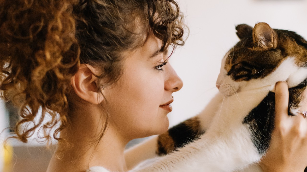 significado de que tu gato parpadee al mirarte