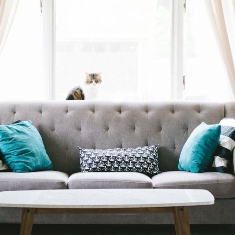 truco para limpiar a profundidad tus sillones