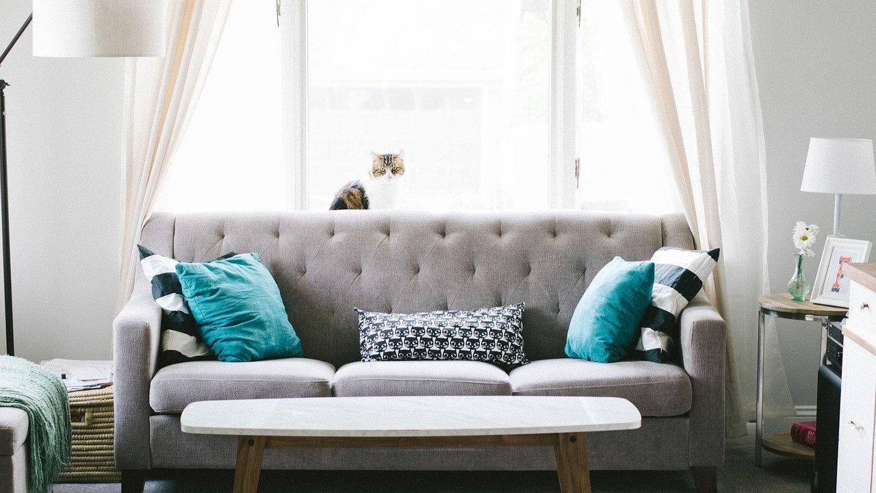 truco para limpiar a profundidad tus sillones