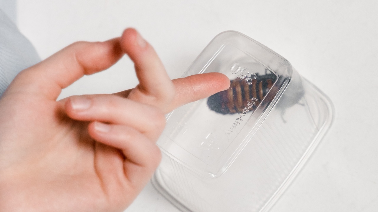 donde se esconden cucarachas