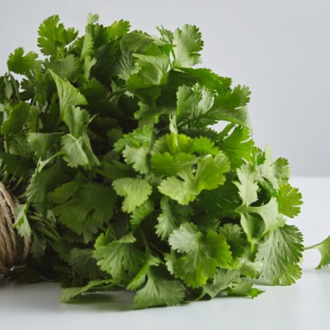 Qué le hace el cilantro a tu organismo
