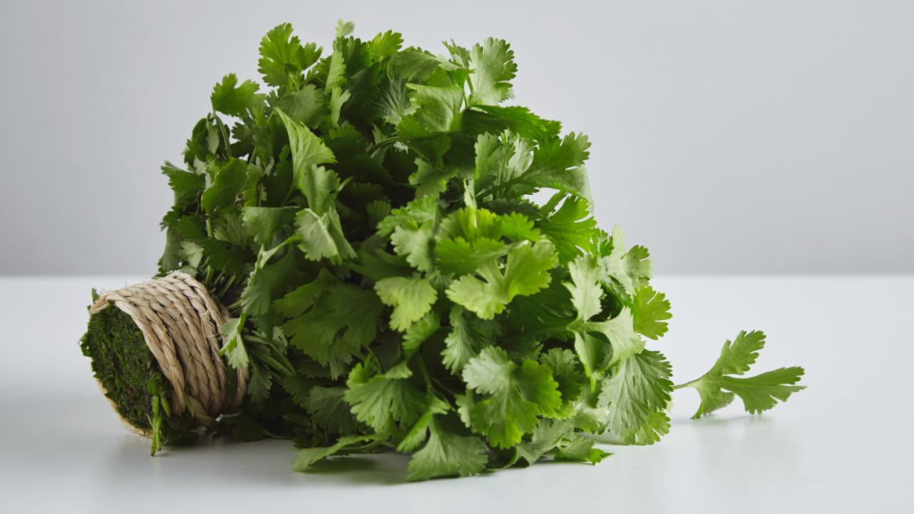 Qué le hace el cilantro a tu organismo