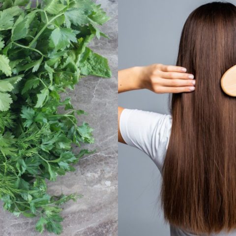 Infusion-de-cilantro-para-evitar-la-caida-del-cabello