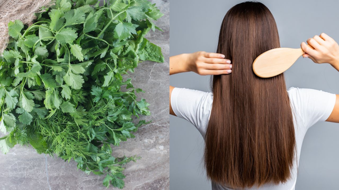 Infusion-de-cilantro-para-evitar-la-caida-del-cabello