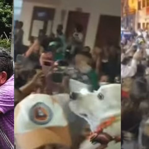 Perrito regresa a su pueblo y arman fiesta masiva