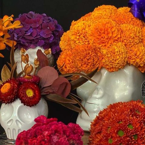 plantas para día de muertos