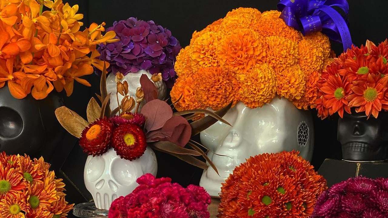 plantas para día de muertos