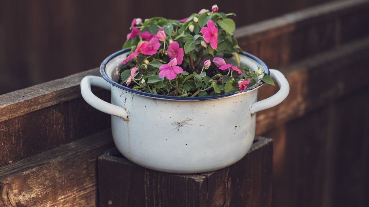 Llena tu cocina de flores