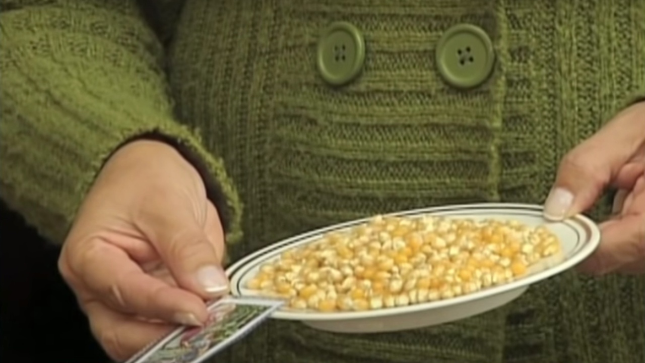 plato de la abundancia