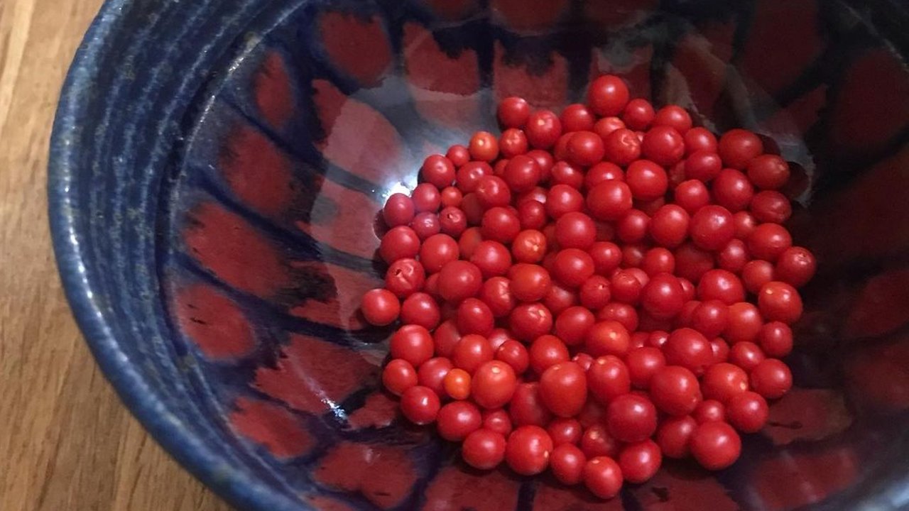 cuánto cuesta el chile chiltepín