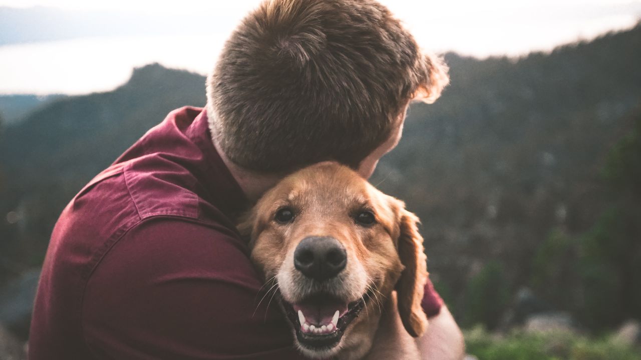 Cómo evitar que mi perro ladre todo el tiempo