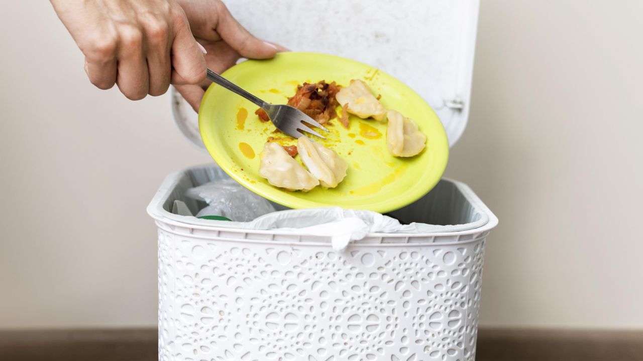 Cómo eliminar las larvas de mosca de tu bote de basura