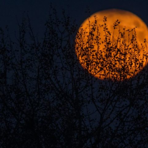 Samhain-la-celebracion-celta-que-le-dio-origen-a-Halloween