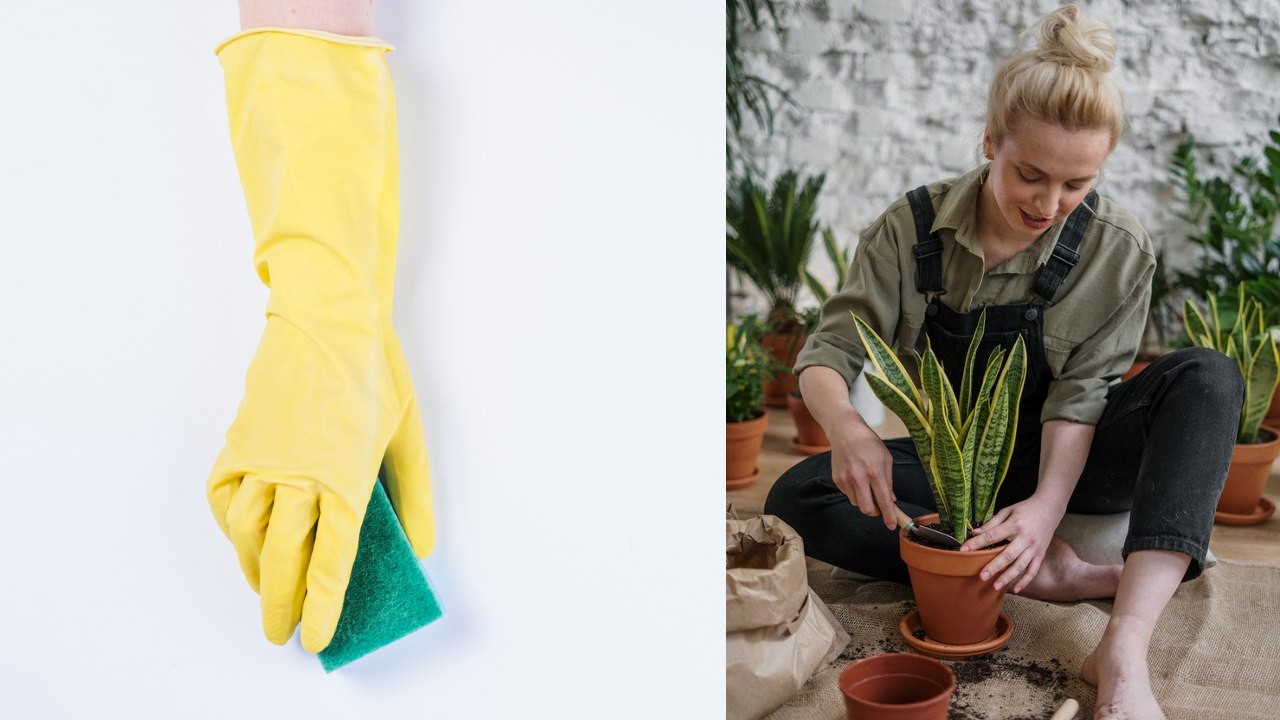 Sustrato casero con esponjas lavaplatos para tus plantas