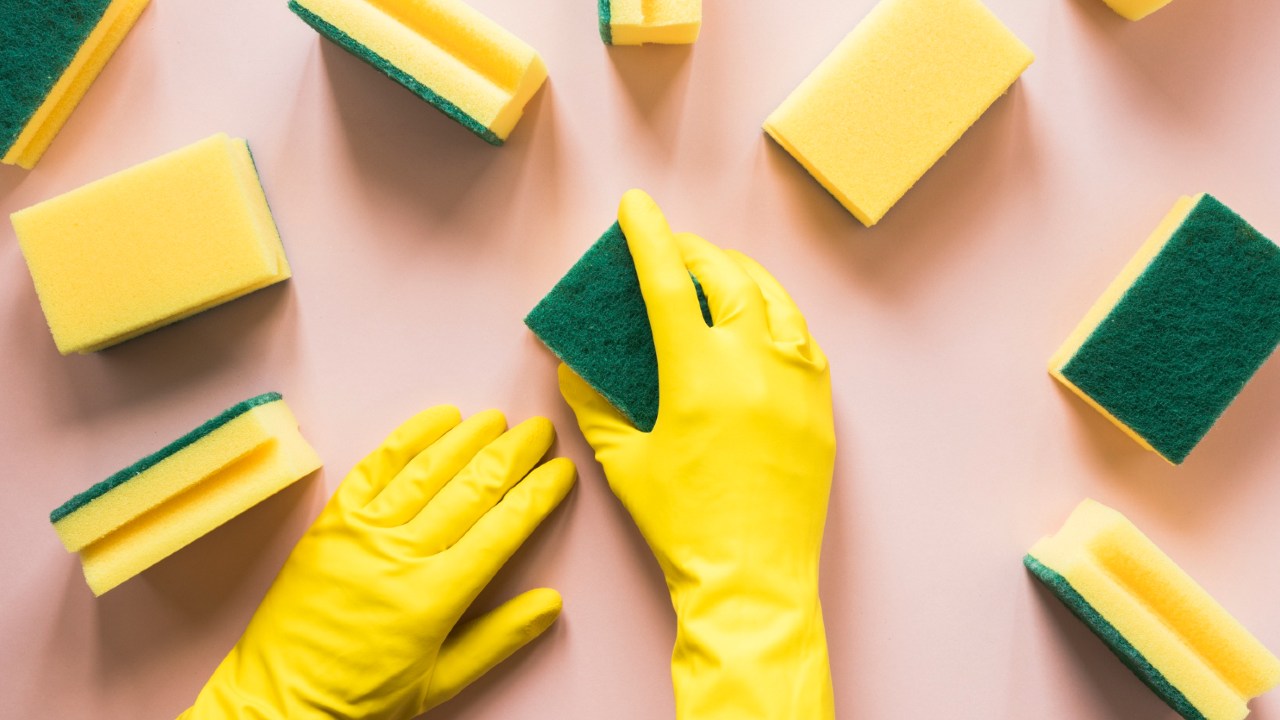 cómo hacer Sustrato casero con esponjas