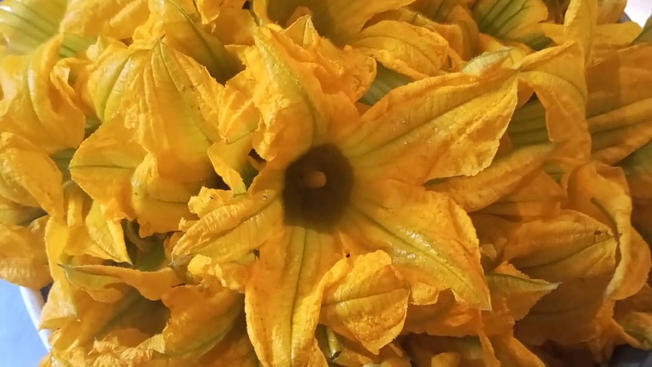 beneficios del té de flor de calabaza