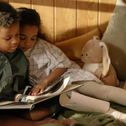 cómo criar hermanos unidos