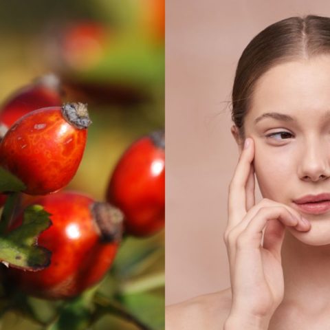 Beneficios del aceite de rosa mosqueta